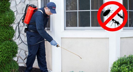 Zeytinburnu Gümüşkurt İlaçlama böcek ilaçlama ve haşere kontrolü — ilaclama-tr.com